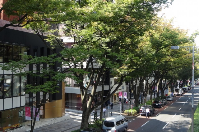 青山通り
