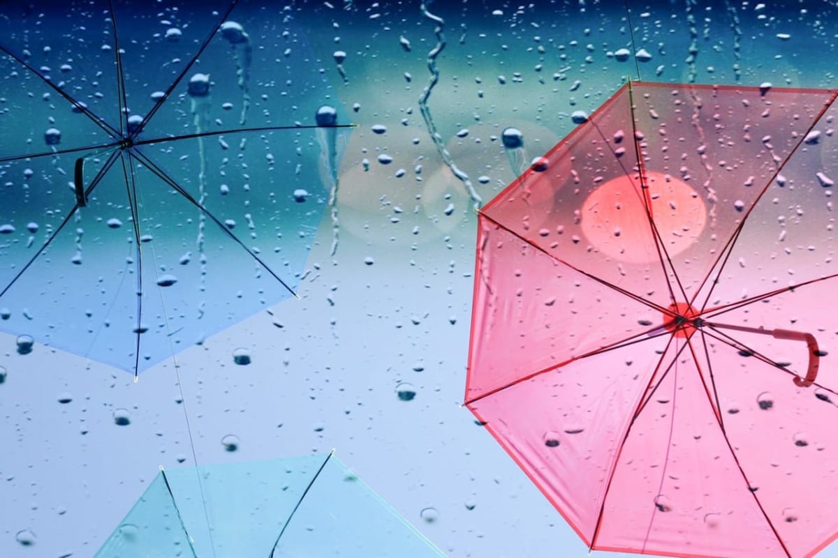 雨と傘